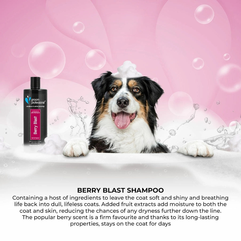 Groom Professional Berry Blast Shampoo for Dog & Cat