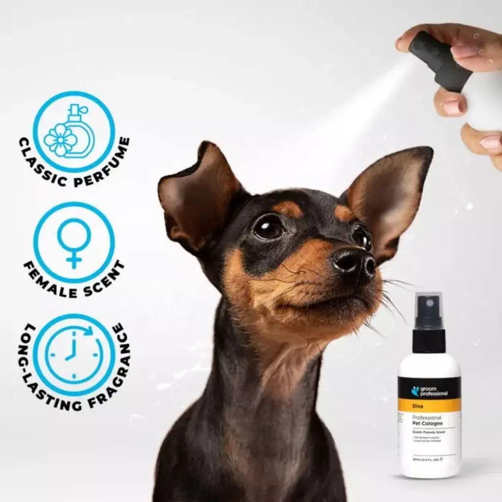 Groom Professional Diva Exotic Female Perfume for Dog & Cat