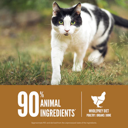 Cat walking on grass with a brown banner displaying '90% animal ingredients' text.