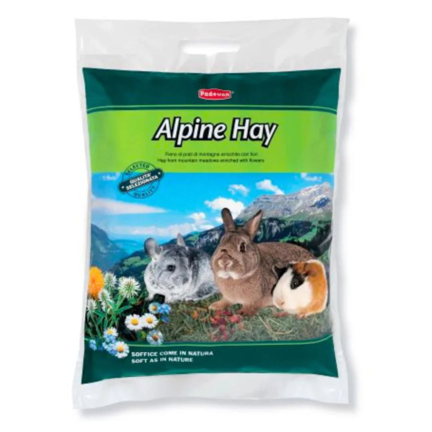 Padovan Alpine Hay Natural Bedding & Feed For Small Pets – 700g