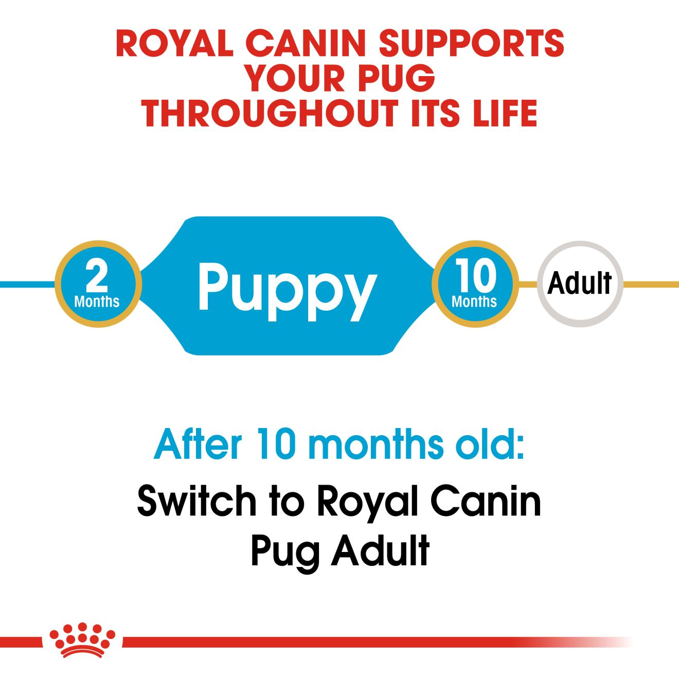 Royal Canin Breed Health Nutrition Pug Puppy Dry Food - 1.5Kg