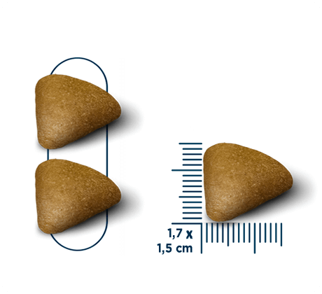 Two brown triangular dog treats with a measurement scale on a white background