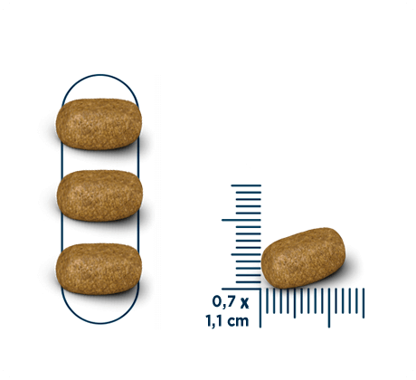 Seven Dogs Dry Food For Adult Beef & Chicken - 10kg+100g