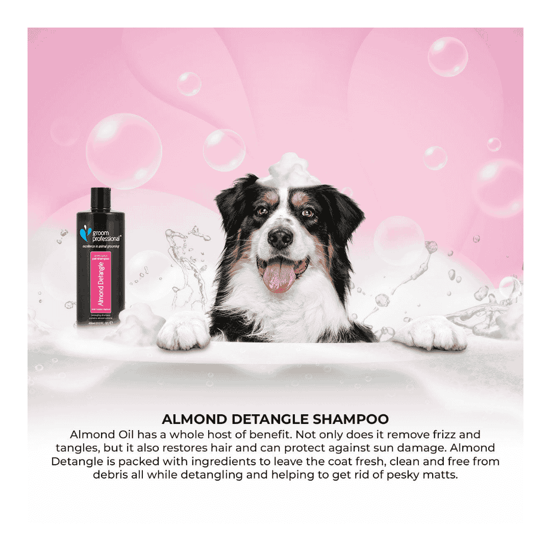 Dog in a bathtub with a bottle of Almond Detangle Shampoo on a pink background