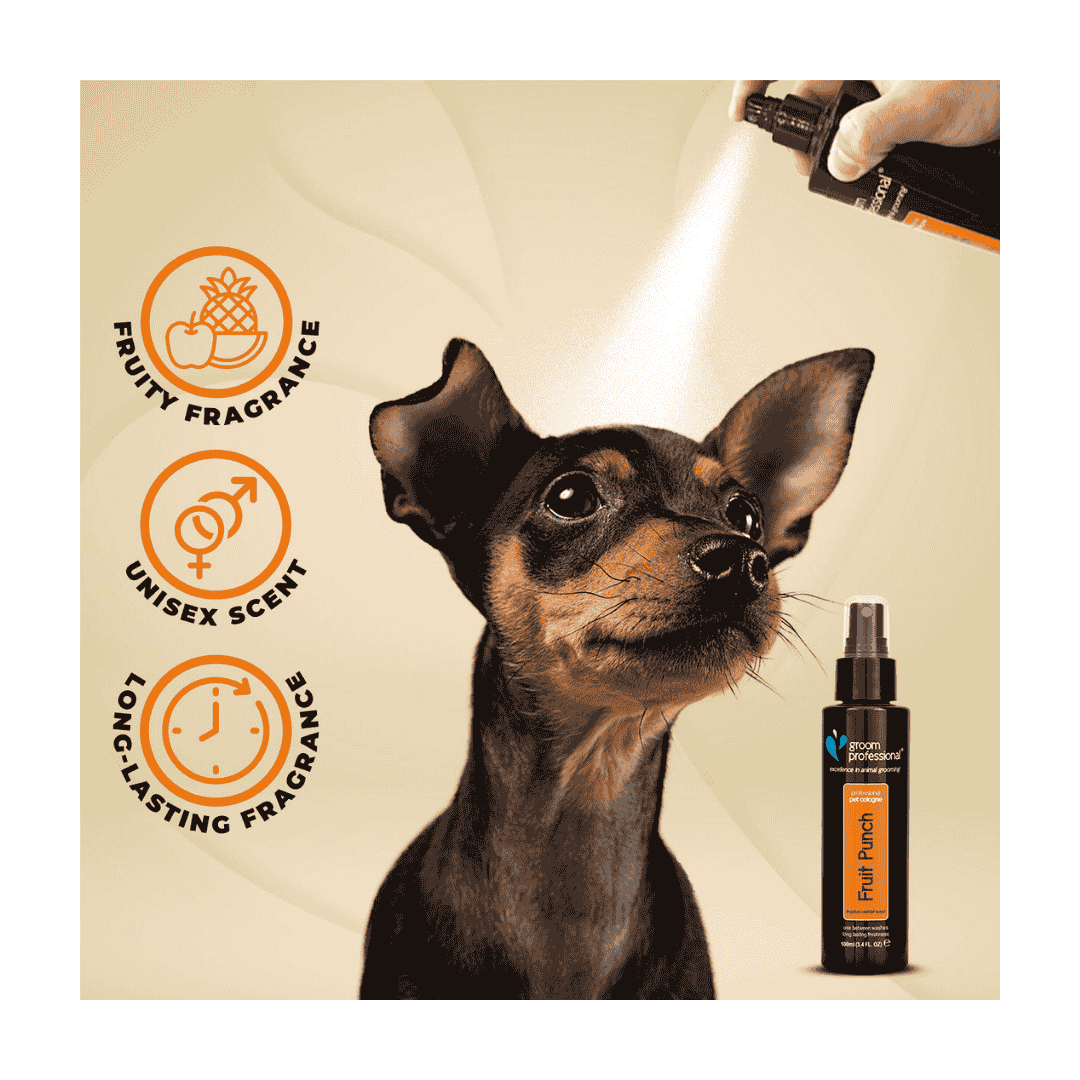 Dog being sprayed with a product, with brand icons and text on a beige background