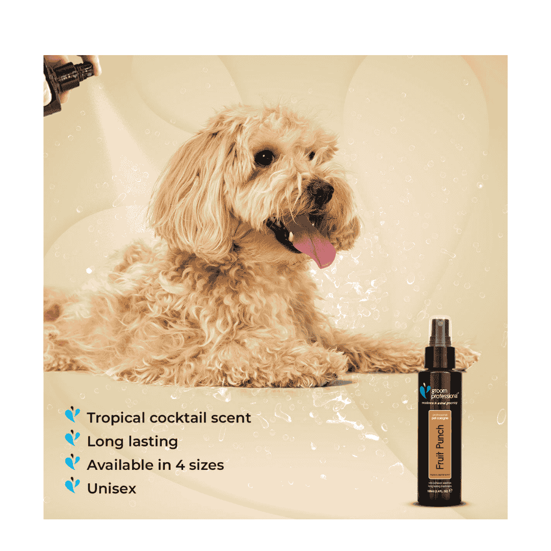 Groom Professional Fruit Punch Cologne (Perfume)[Flavor - Tropical Cocktail Scent 100ml