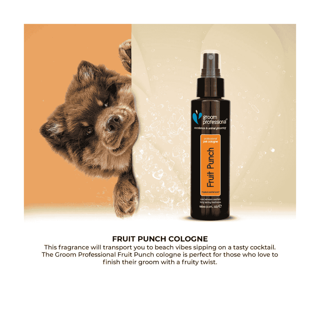 Groom Professional Fruit Punch Cologne (Perfume)[Flavor - Tropical Cocktail Scent 100ml