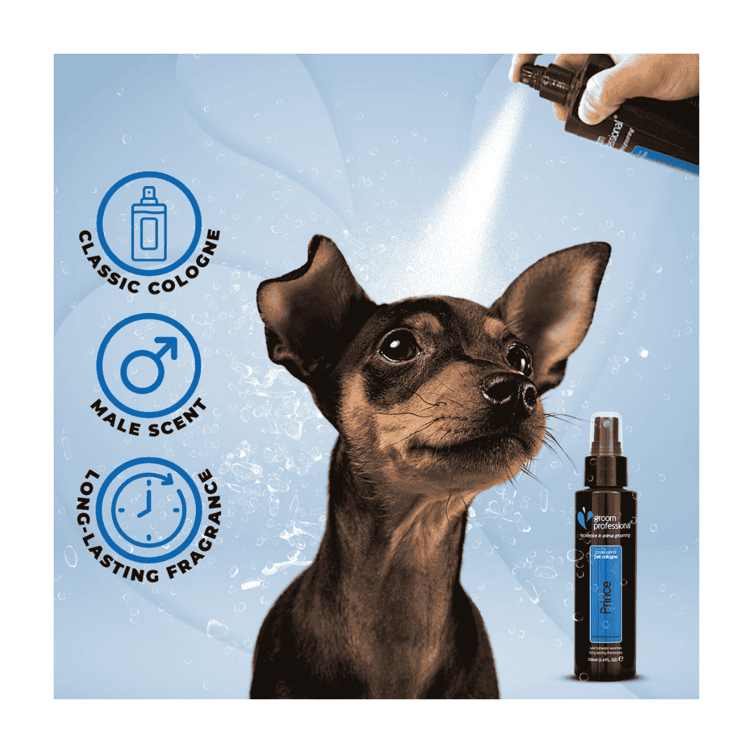 Groom Professional Prince Pet Cologne|Perfume[Volume - 100ml