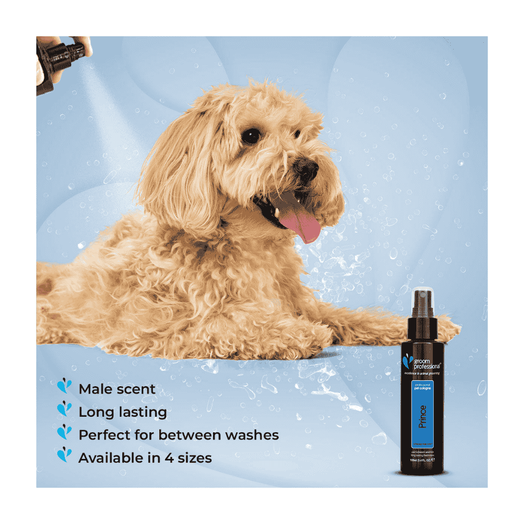 Groom Professional Prince Pet Cologne|Perfume[Volume - 100ml