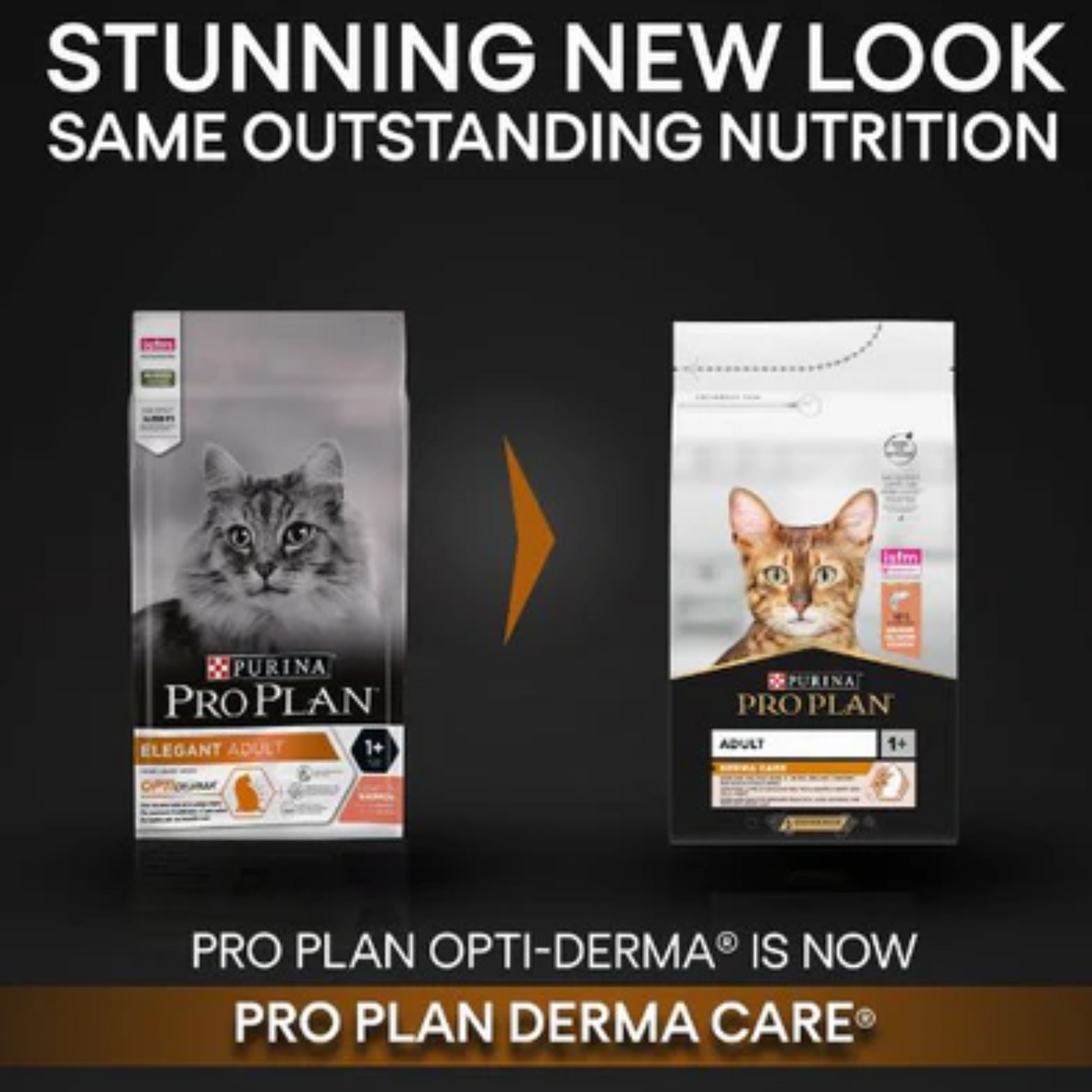 Purina Pro Plan Elegant Adult Dry Cat Food With Salmon - 1.5kg