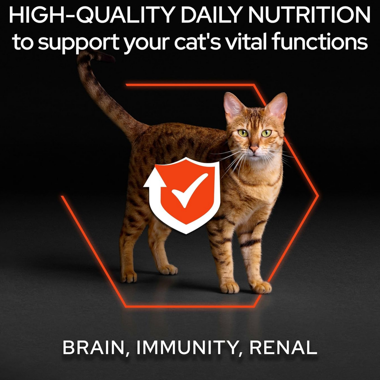 Cat with a shield logo and text about high-quality daily nutrition for cat health on a black background