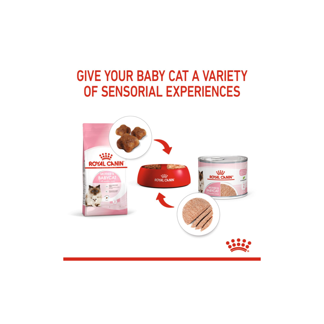 Feline Health Nutrition Mother & Babycat Mousse (WET FOOD )
