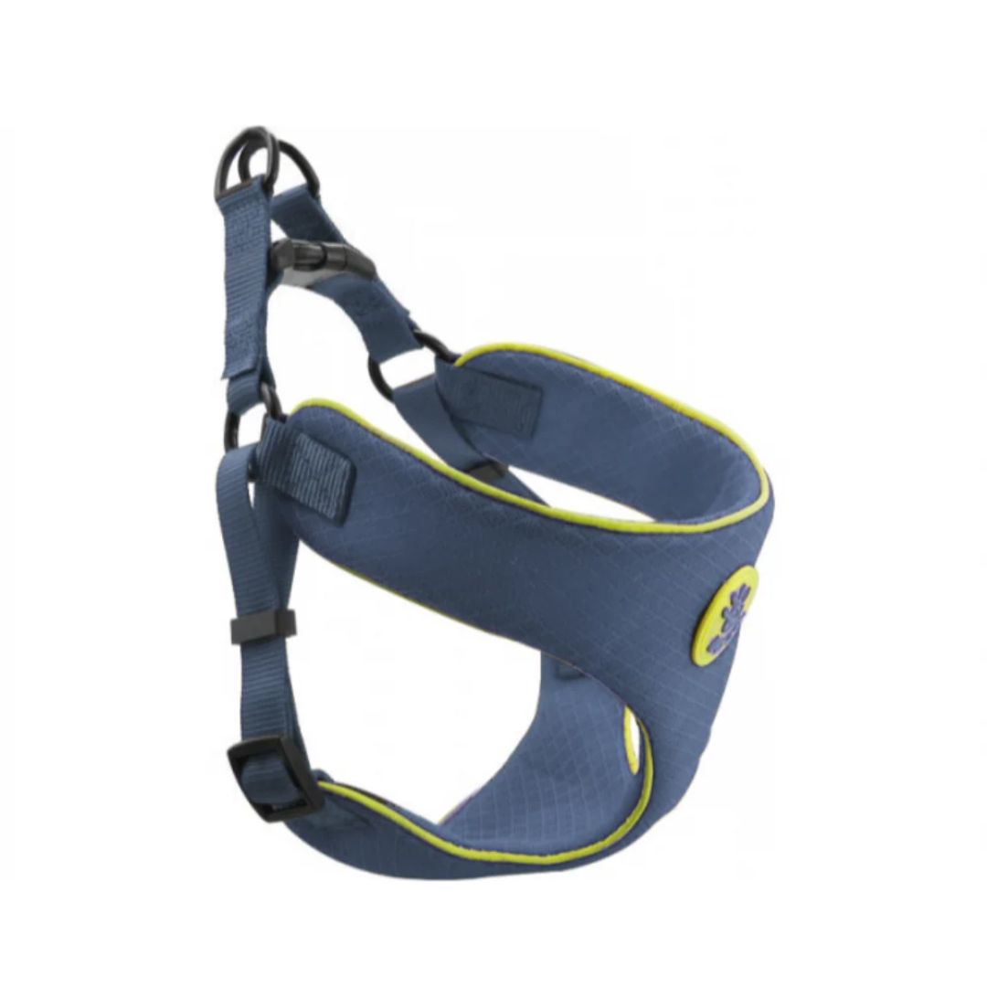 Blue dog harness with yellow accents on a white background