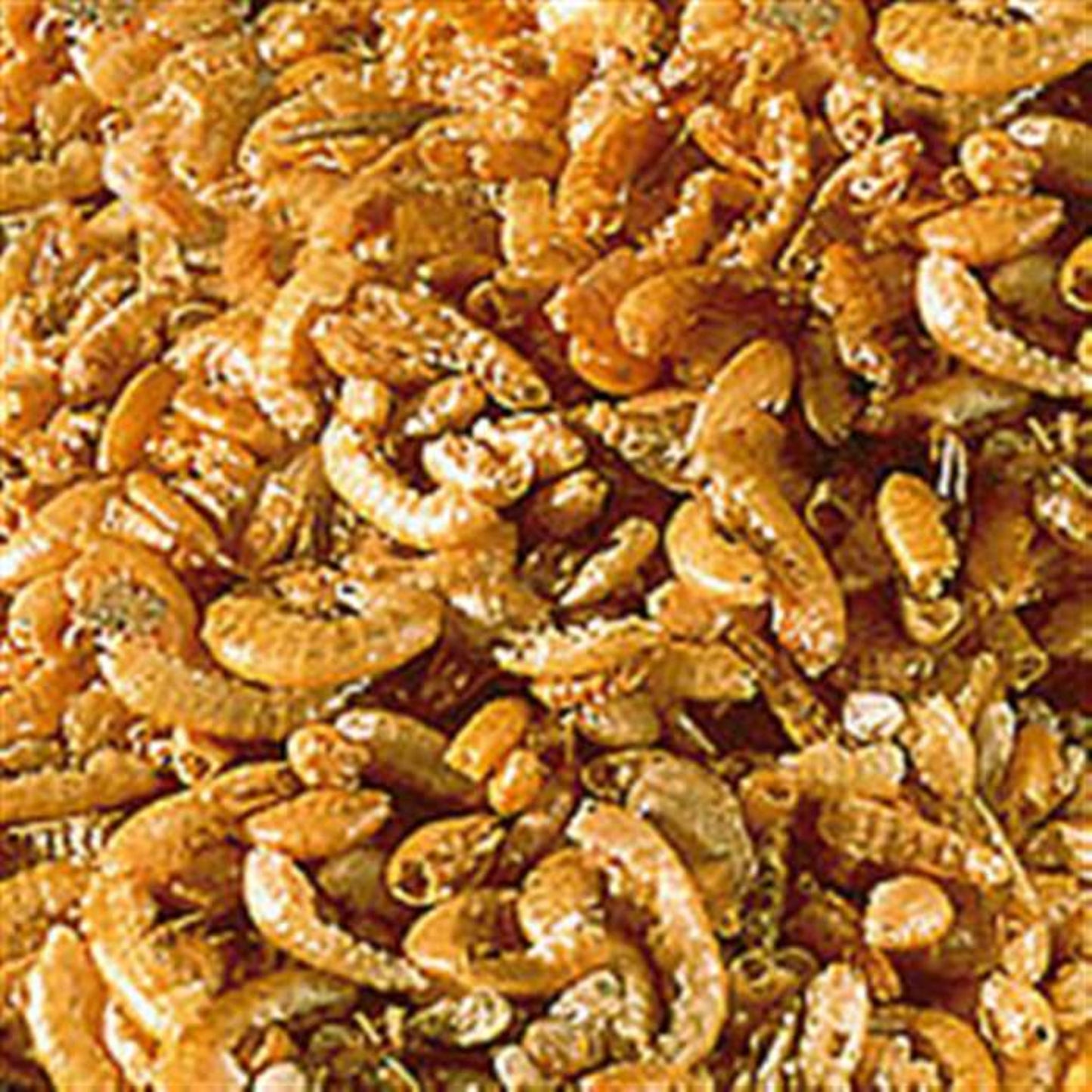 Sera Raffy-I Turtle Food Balanced Nutrition For Aquatic Turtles – 1L