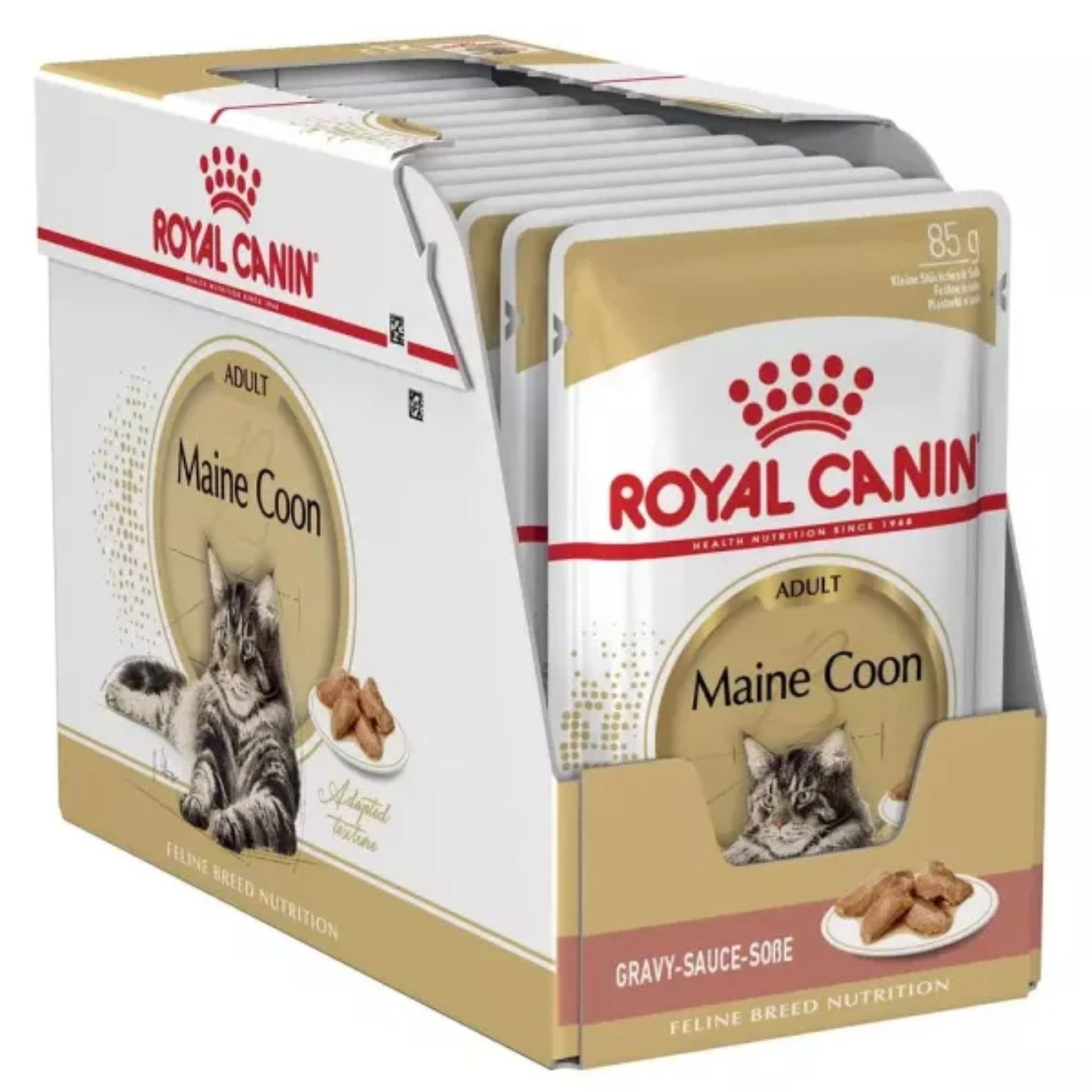 Box of Royal Canin Maine Coon cat food pouches on a white background