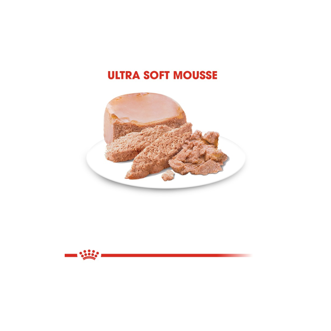 Feline Health Nutrition Mother & Babycat Mousse (WET FOOD )