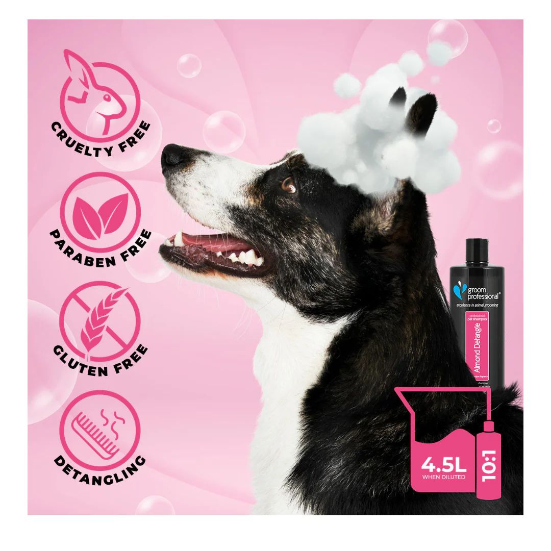 Dog with shampoo on head against a pink background with product packaging and features.