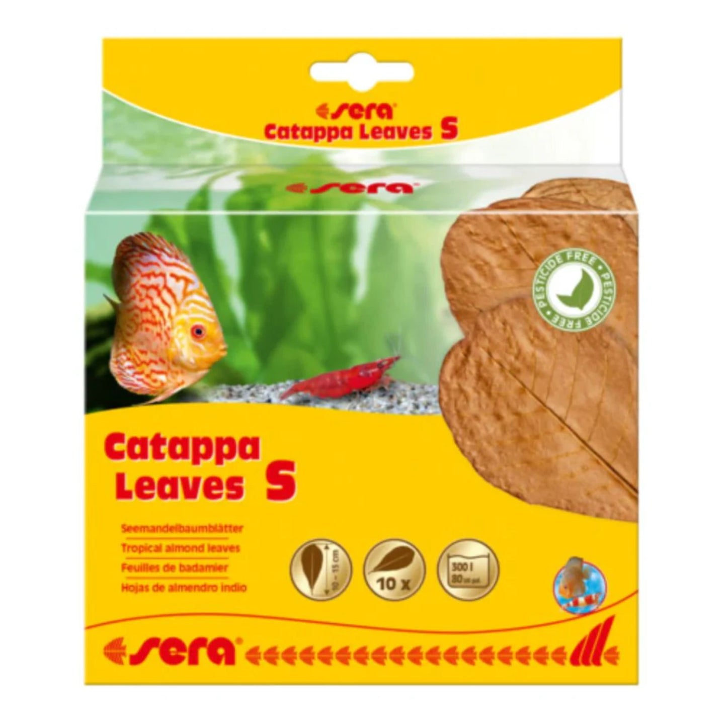 Sera Catappa Leaves S Size Small Indian Almond Leaves - 10