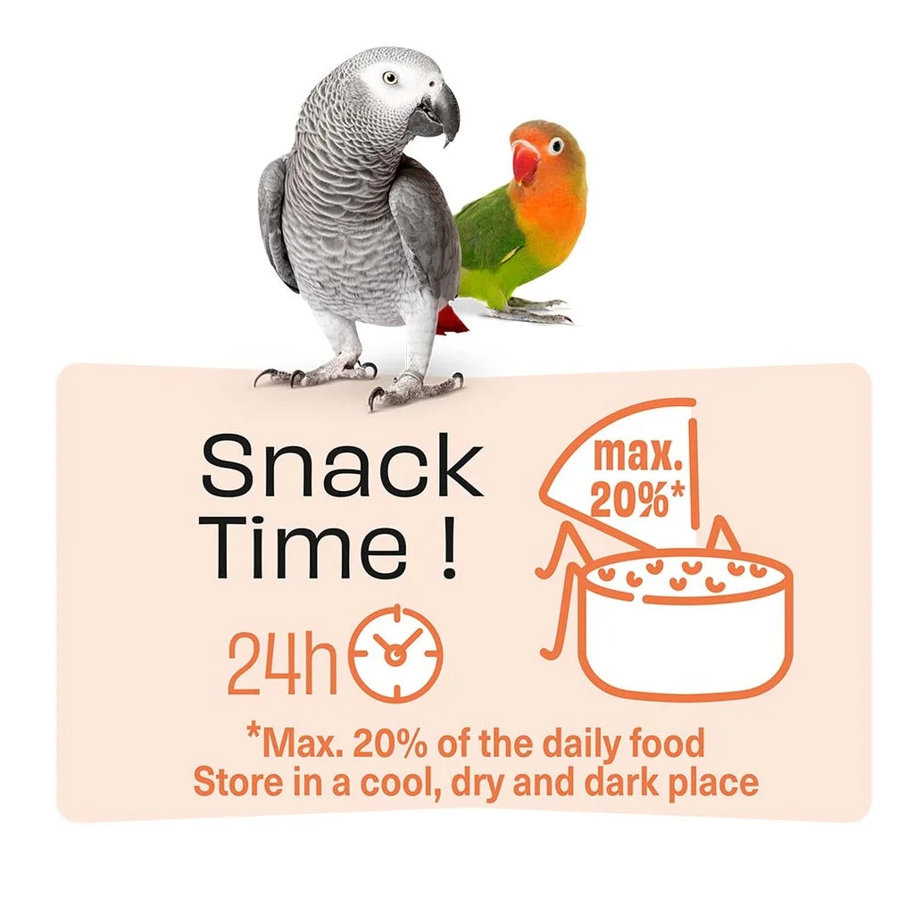 Witte Molen Puur Treat Sticks Papaya & Apricot for Lovebird - 170g