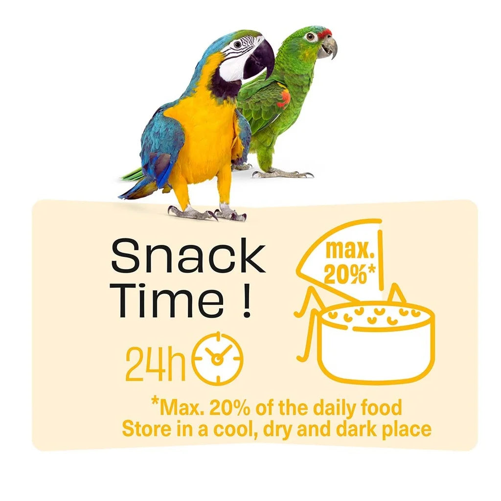 Witte Molen Puur Treat Sticks Peanut & Pineapple for Parrot - 170g
