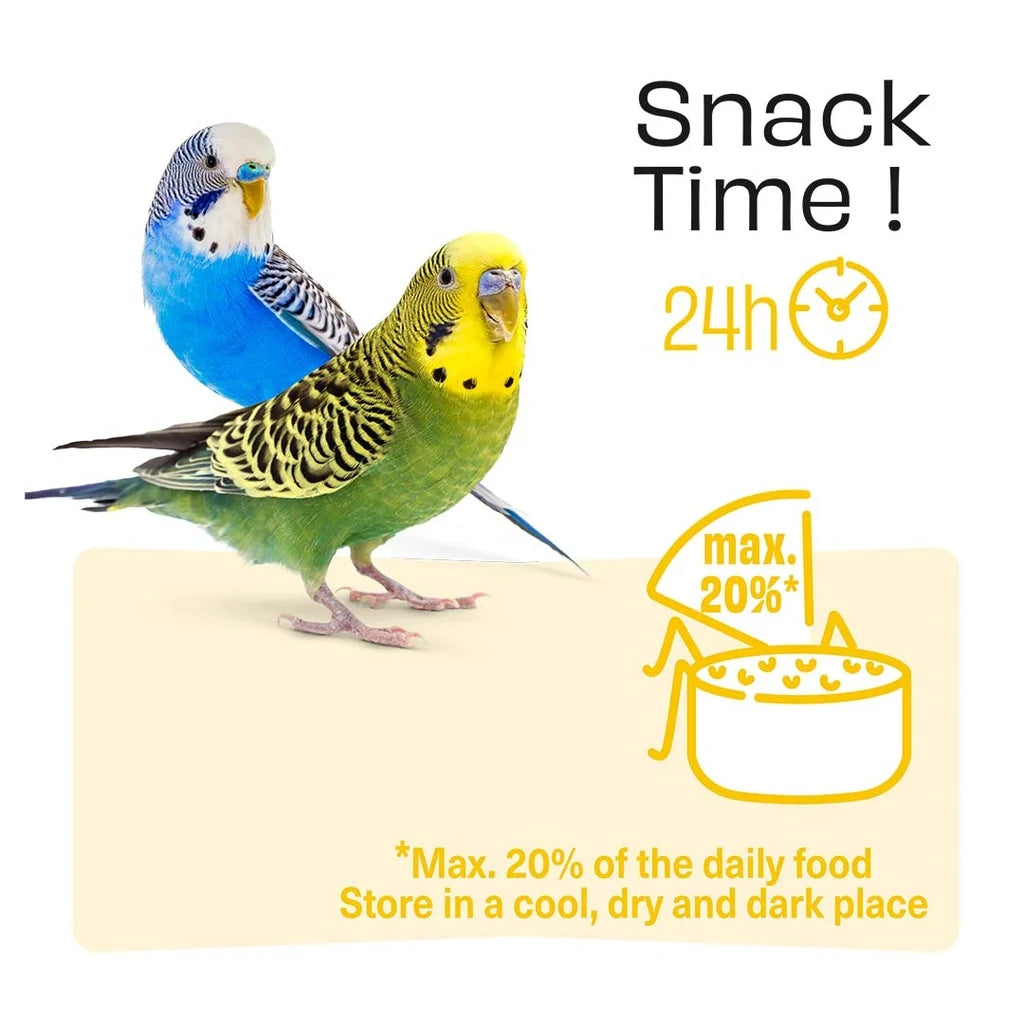Witte Molen Puur Treat Sticks With Orange & Mango for Budgie - 60g