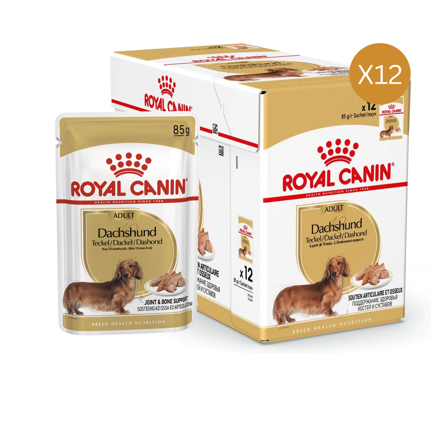 Royal Canin Breed Health Nutrition Dachshund Adult Dog Wet Food - 12X85G