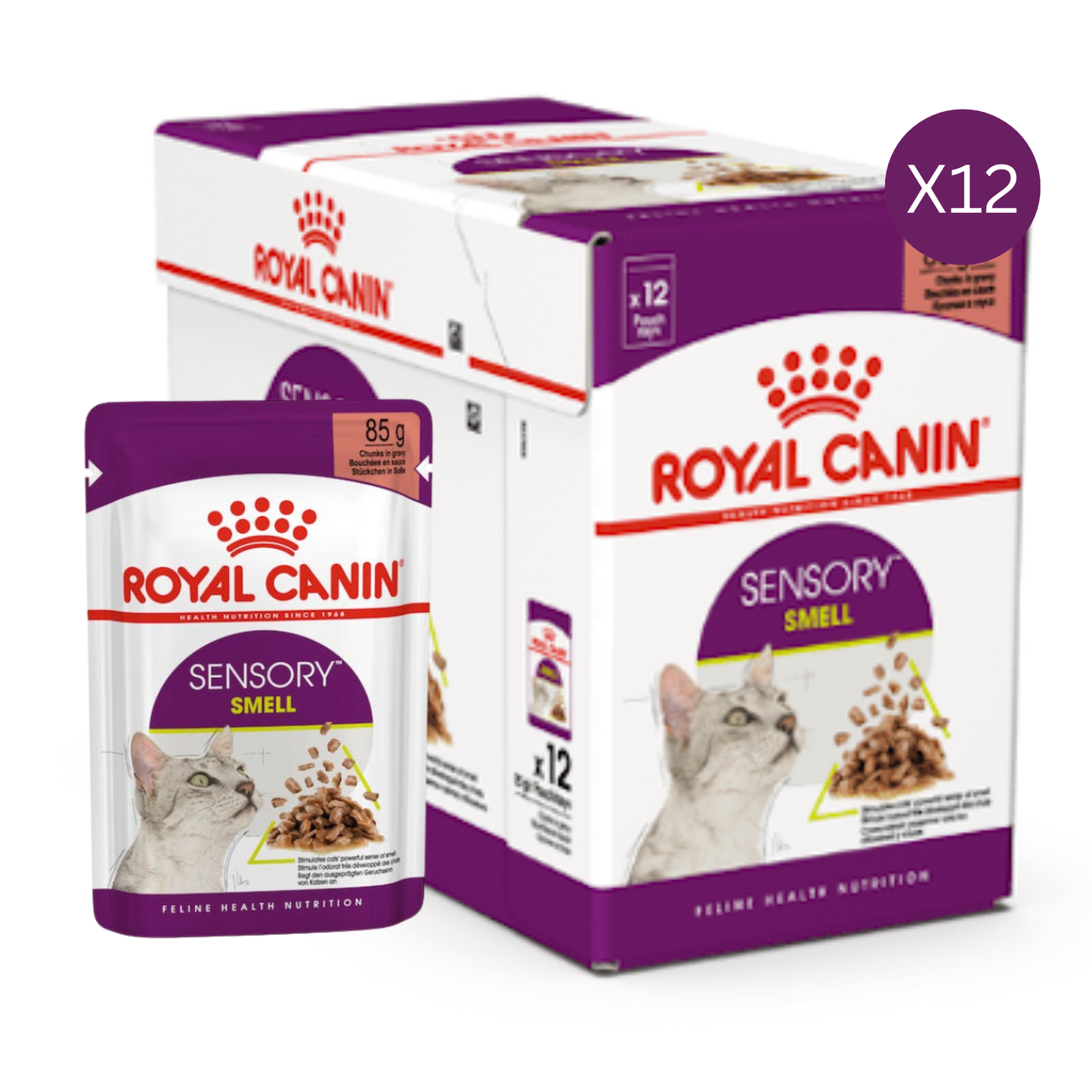 Royal Canin Feline Health Nutrition Sensory Smell Gravy Cat Wet Food - 12X85g