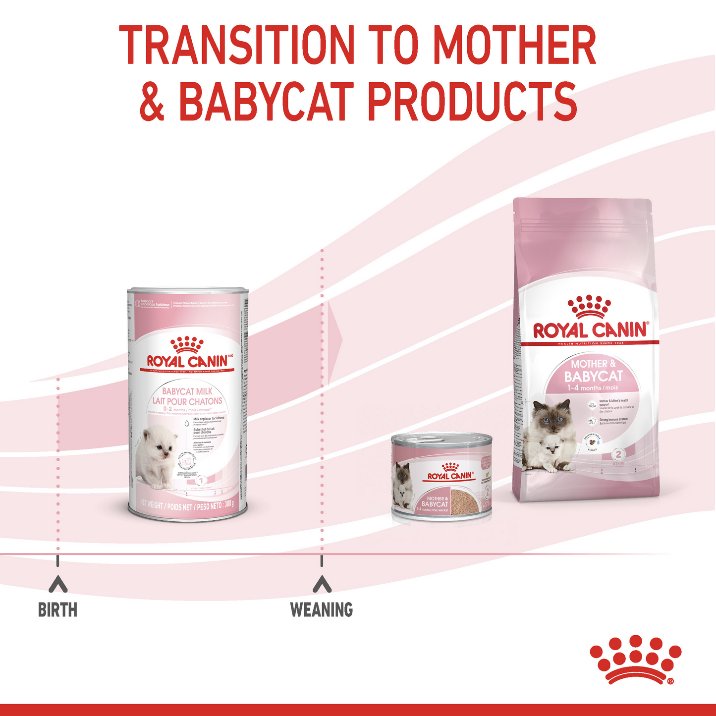 Royal Canin Feline Health Babycat Milk Powder 300g