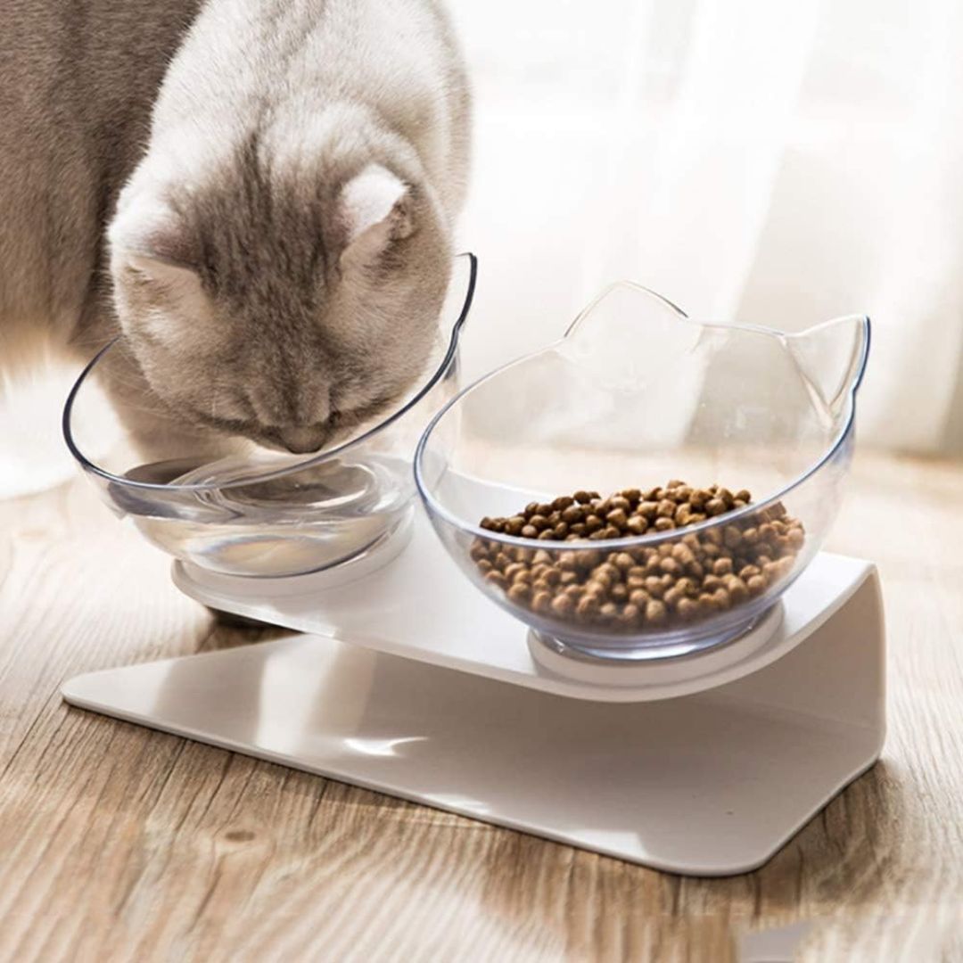 Pado Pet Feeding Bowl (2 in 1)