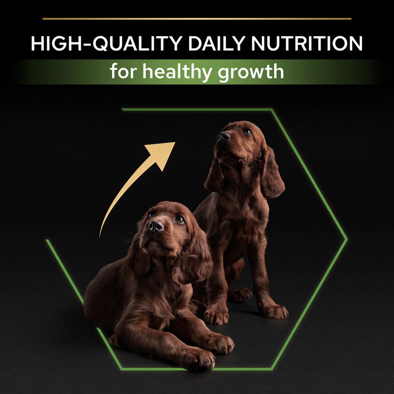 Purina Pro Plan Healthy Start Large Athletic Puppy Dry Dog Food With Chicken - 3kg