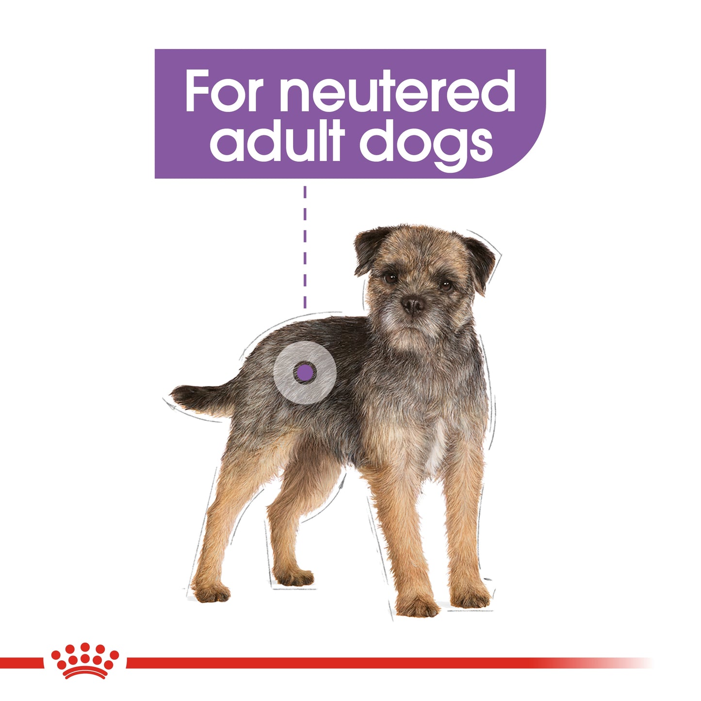 Royal Canin Canine Care Nutrition Mini Sterilised Adult Dry Dog food 3kg