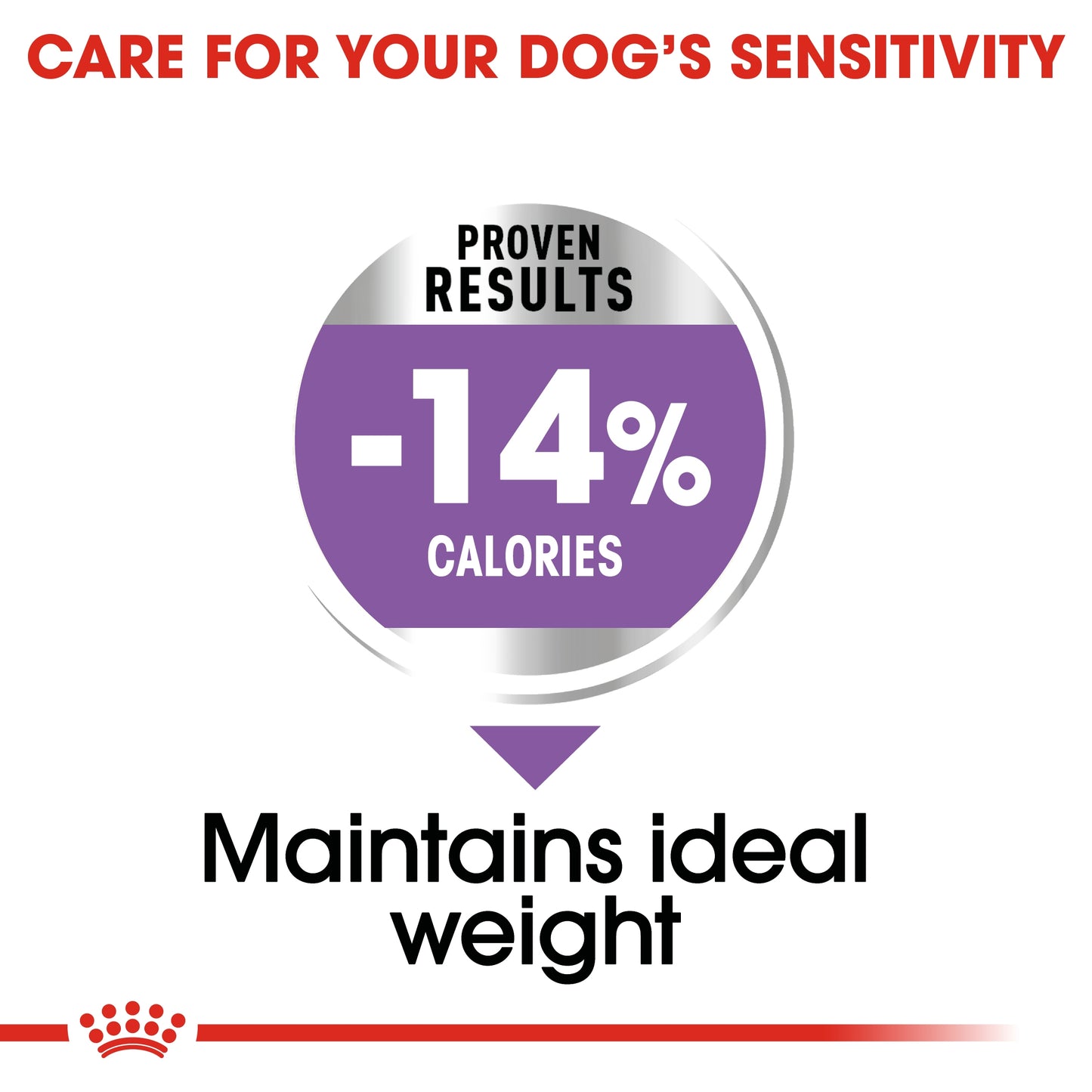 Royal Canin Canine Care Nutrition Mini Sterilised Adult Dry Dog food 3kg