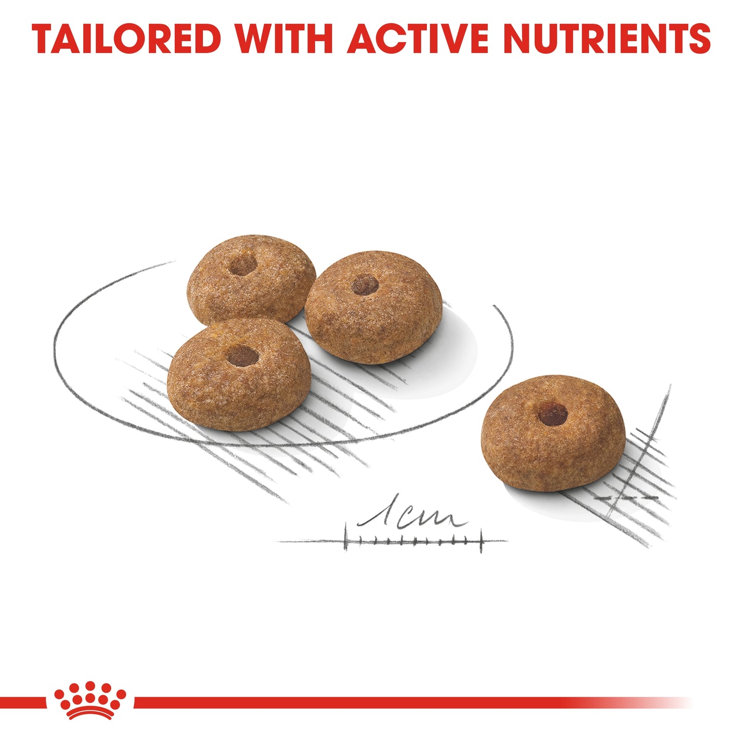Royal Canin Canine Care Nutrition Mini Sterilised Adult Dry Dog food 3kg