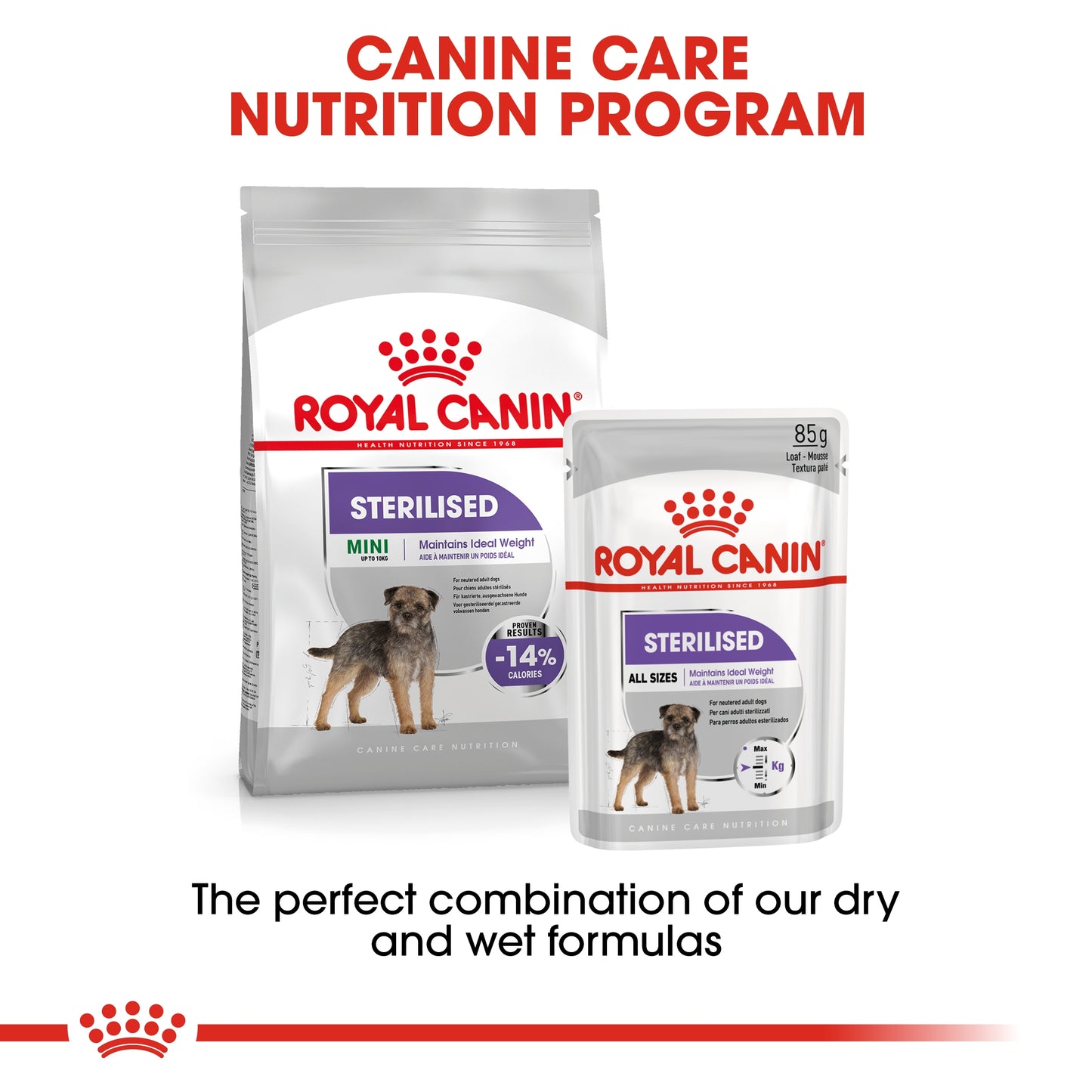 Royal Canin Canine Care Nutrition Mini Sterilised Adult Dry Dog food 3kg