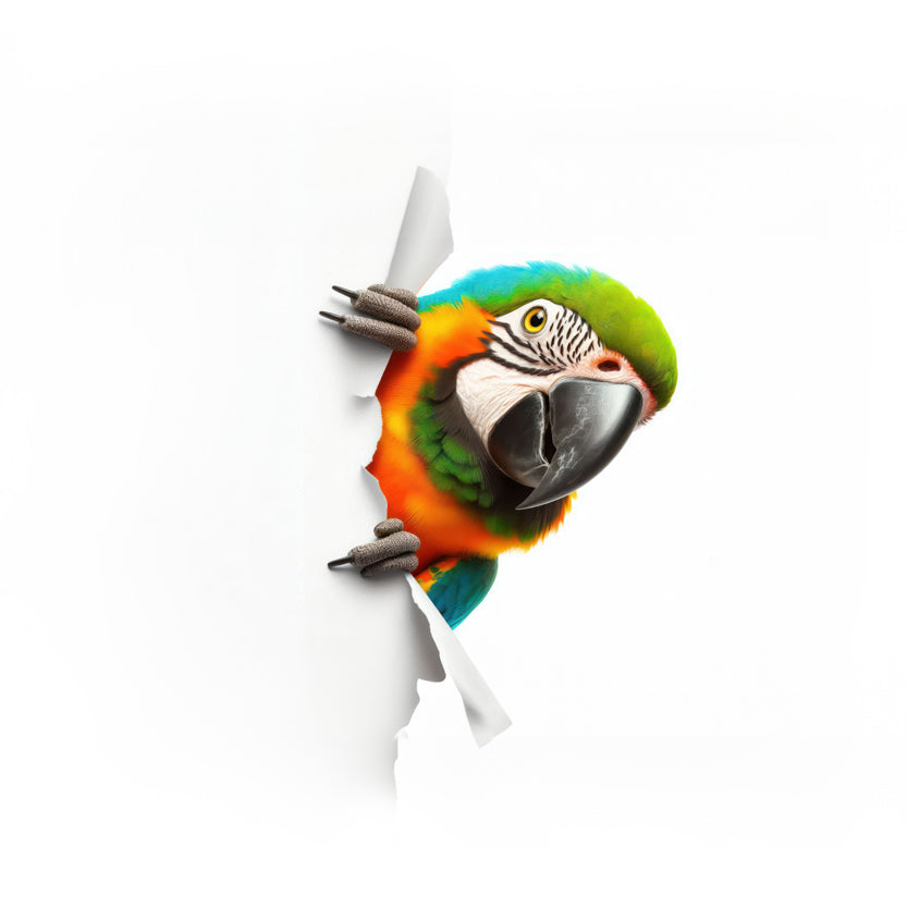 Colorful parrot-shaped object with a white background