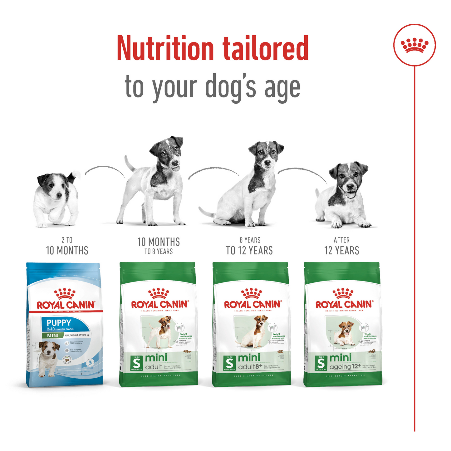 Royal Canin Size Health Mini Adult 8+ Dog Food 2kg