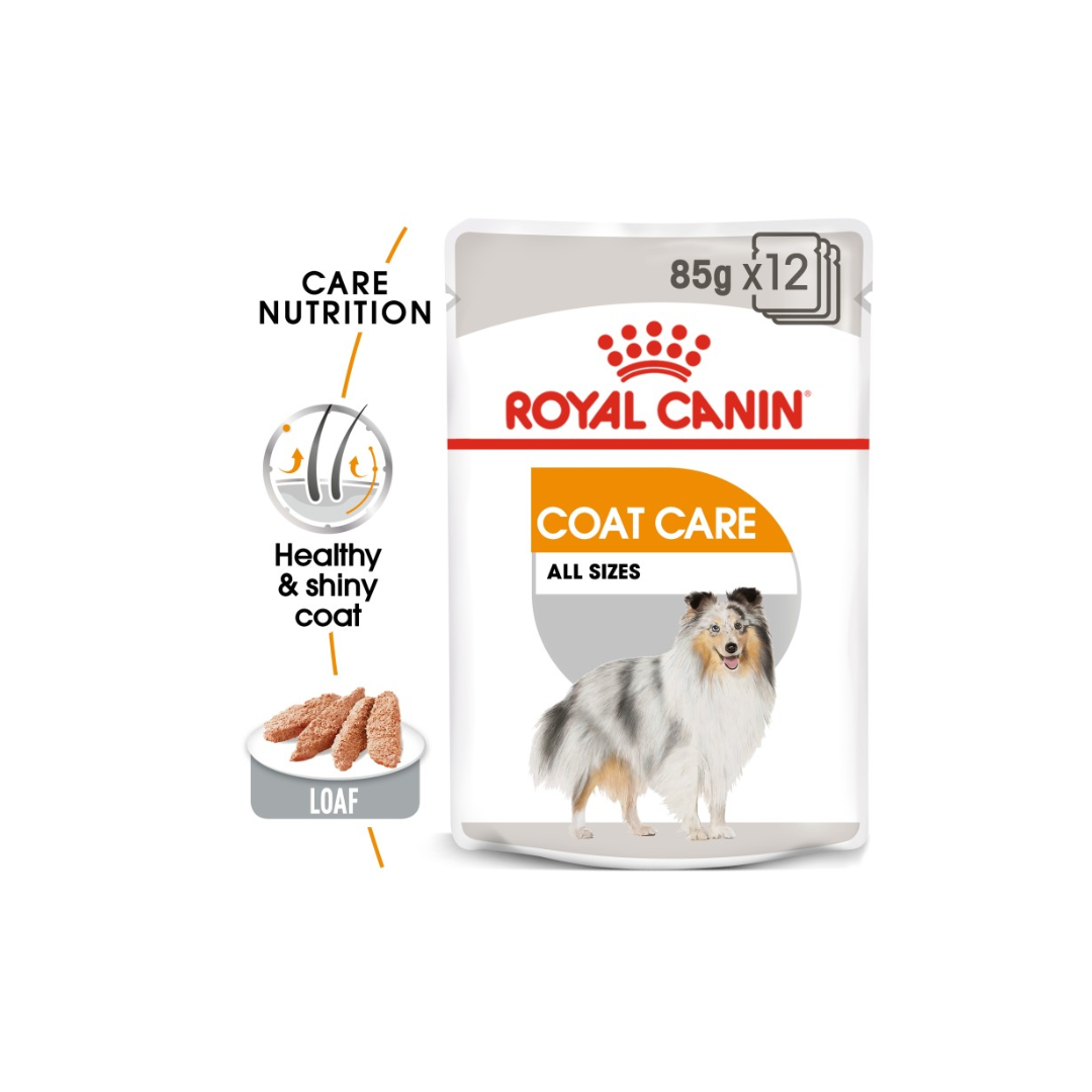 Royal Canin Coat Care dog food package on a white background