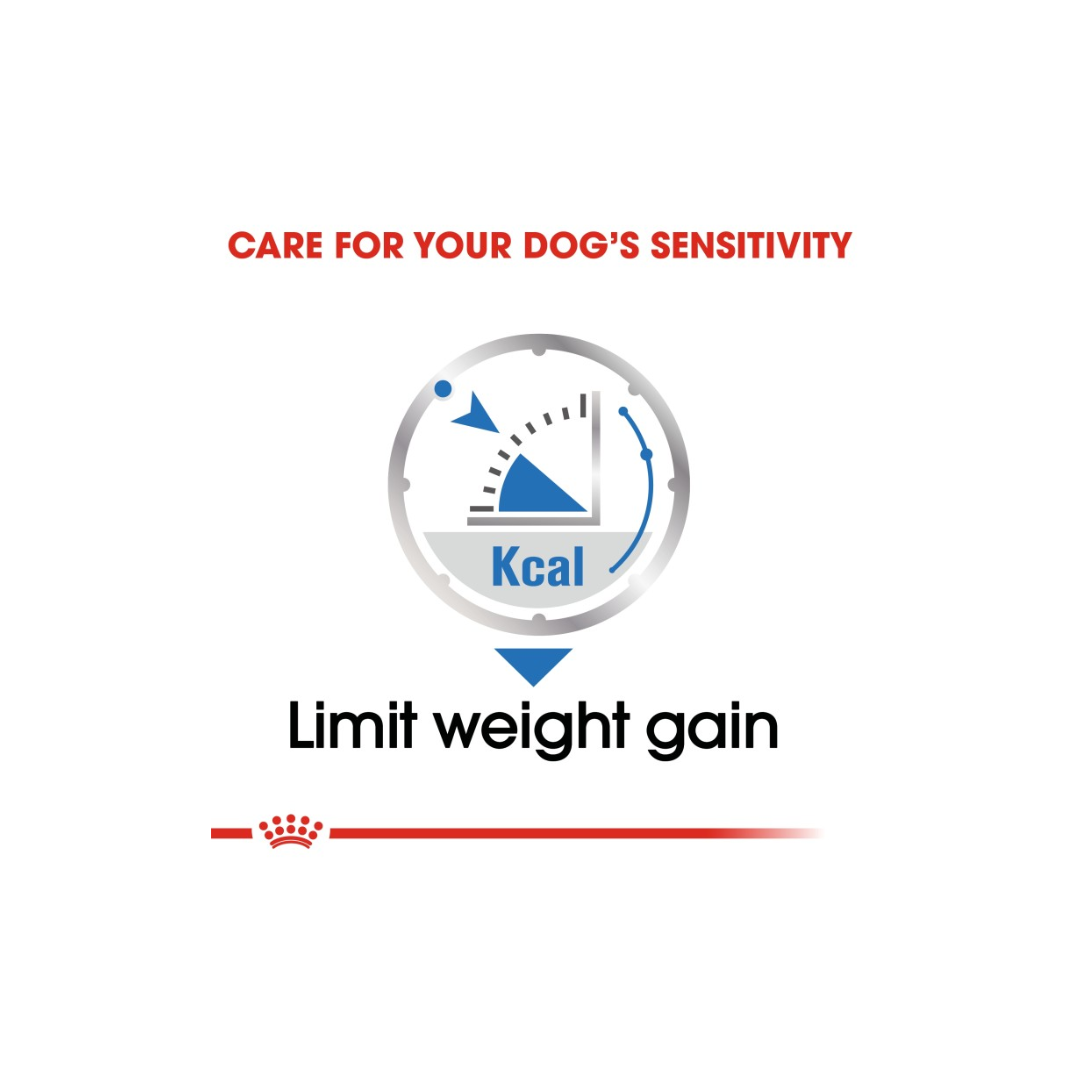 Royal Canine Care Nutrition Light Weight Care (WET FOOD)