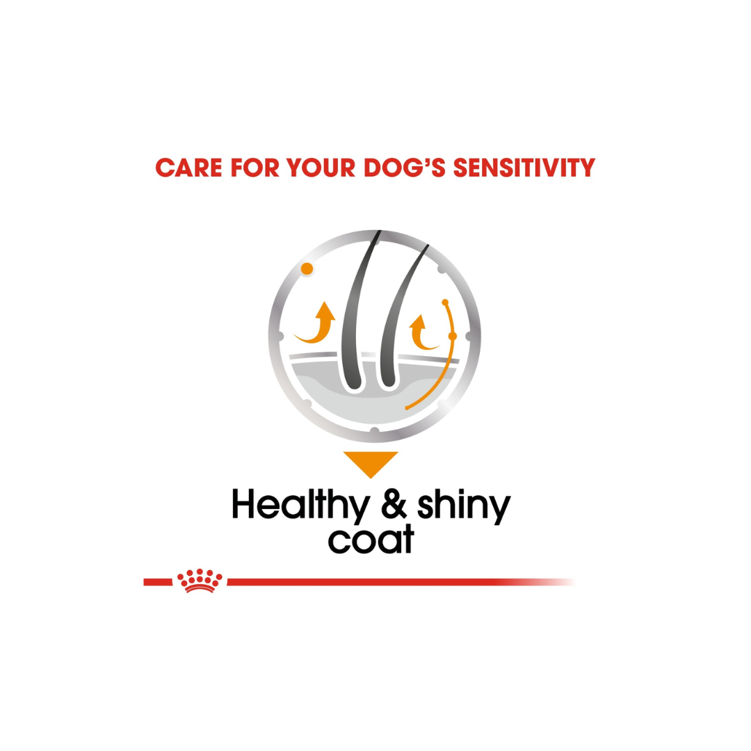 Dog care product with text 'Care for your dog's sensitivity' and 'Healthy & shiny coat'.