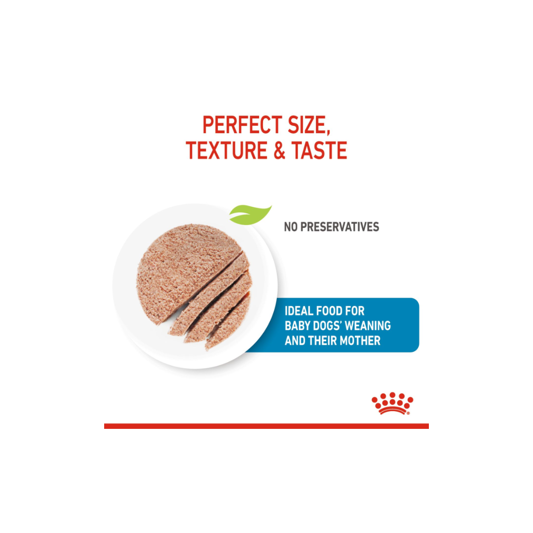 Royal Canin Canine Health Nutrition Starter Mousse (WET FOOD)