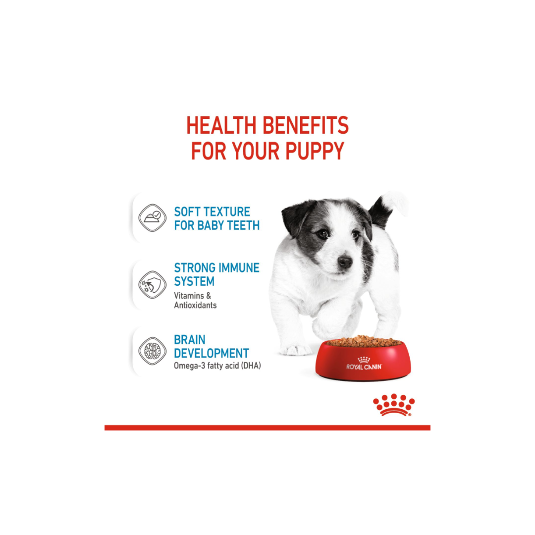Royal Canin Size Health Nutrition Mini Puppy (WET FOOD)