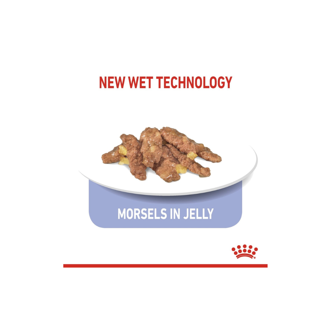 Cat food packaging with 'New Wet Technology' and 'Morsels in Jelly' text on a white background.