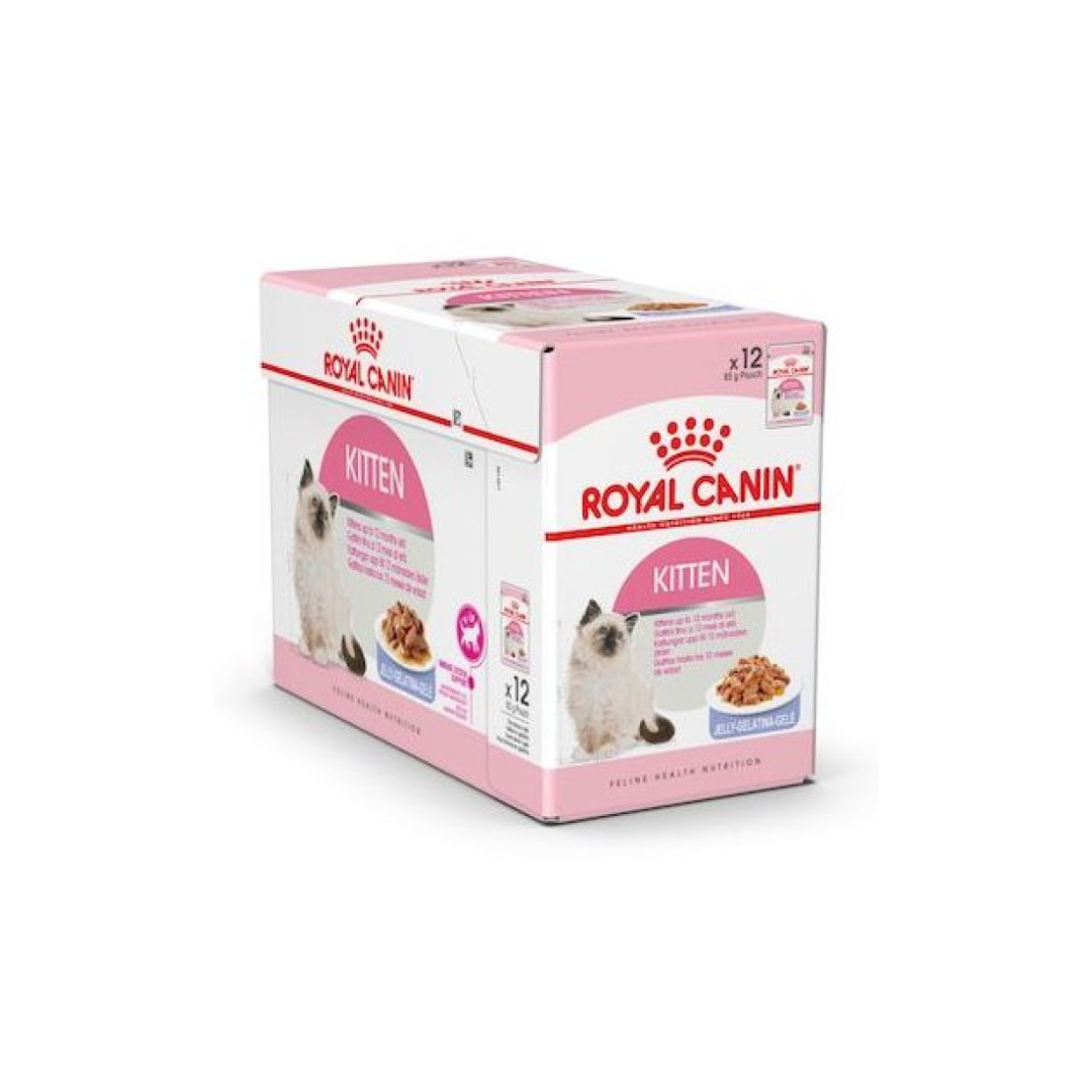 Royal Canin Feline Health Nutrition Kitten Jelly (WET FOOD )