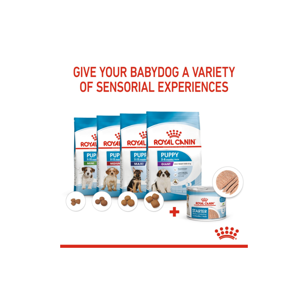 Royal Canin Canine Health Nutrition Starter Mousse (WET FOOD)
