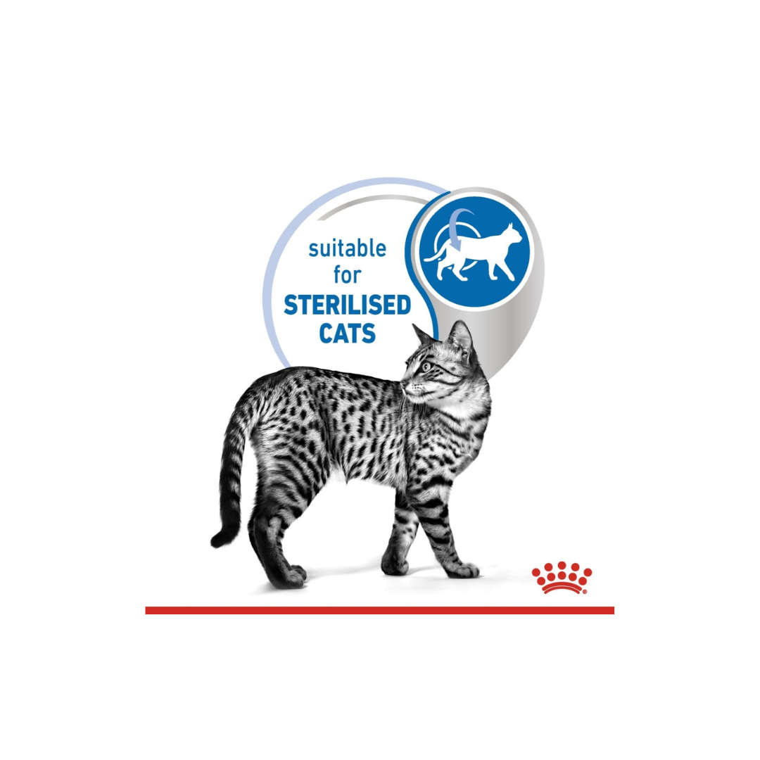 Cat standing next to a label indicating suitability for sterilized cats on a white background