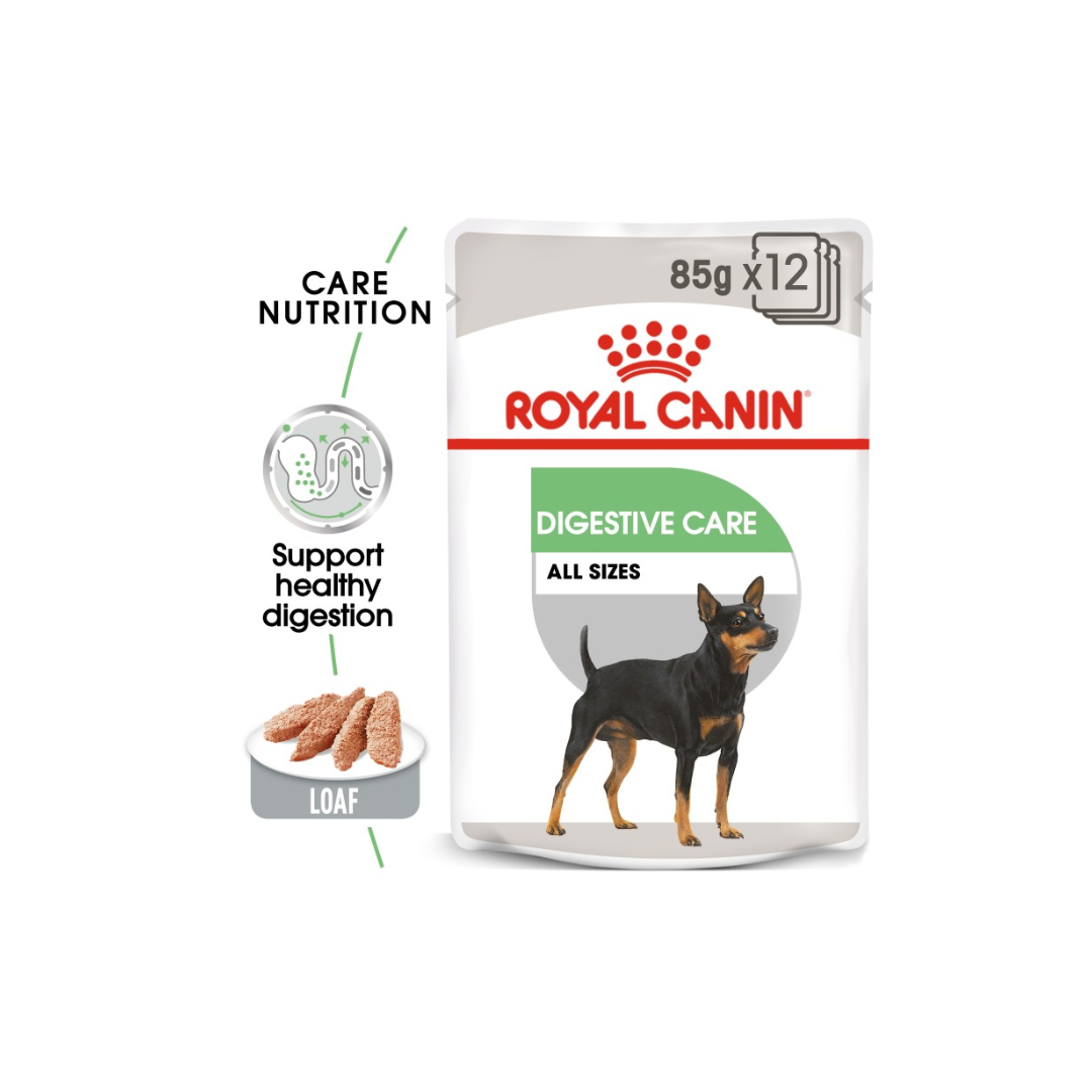 Royal Canin Digestive Care dog food package on a white background