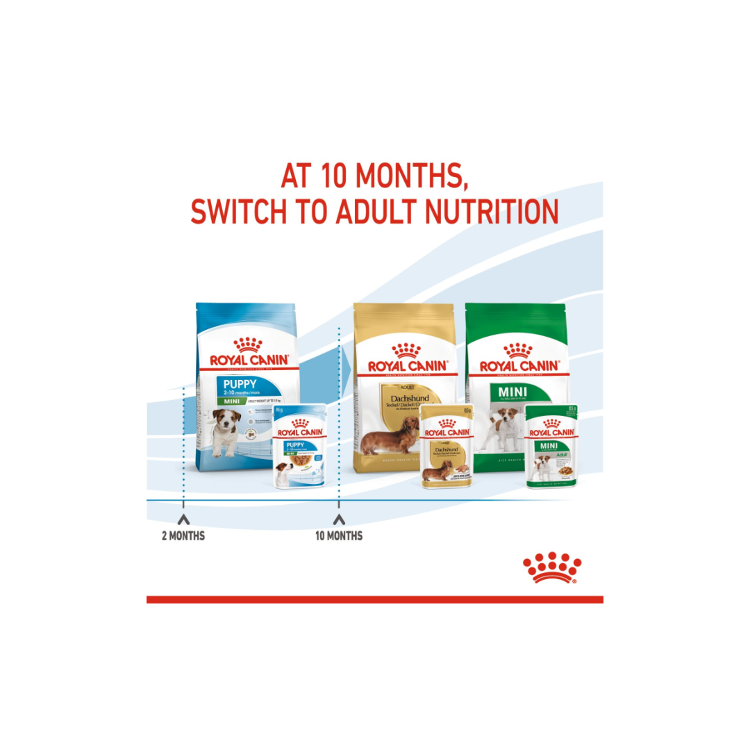 Royal Canin Size Health Nutrition Mini Puppy (WET FOOD)