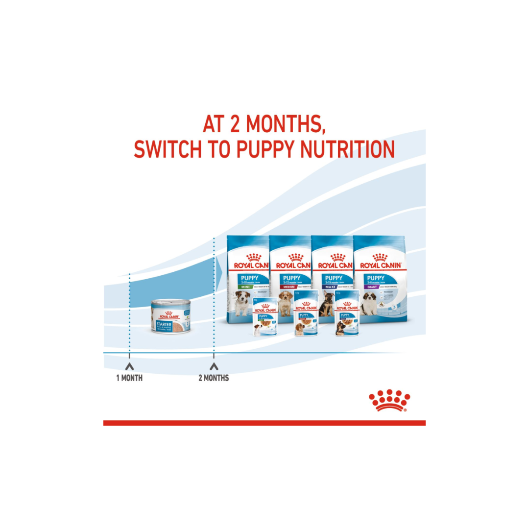 Royal Canin Canine Health Nutrition Starter Mousse (WET FOOD)