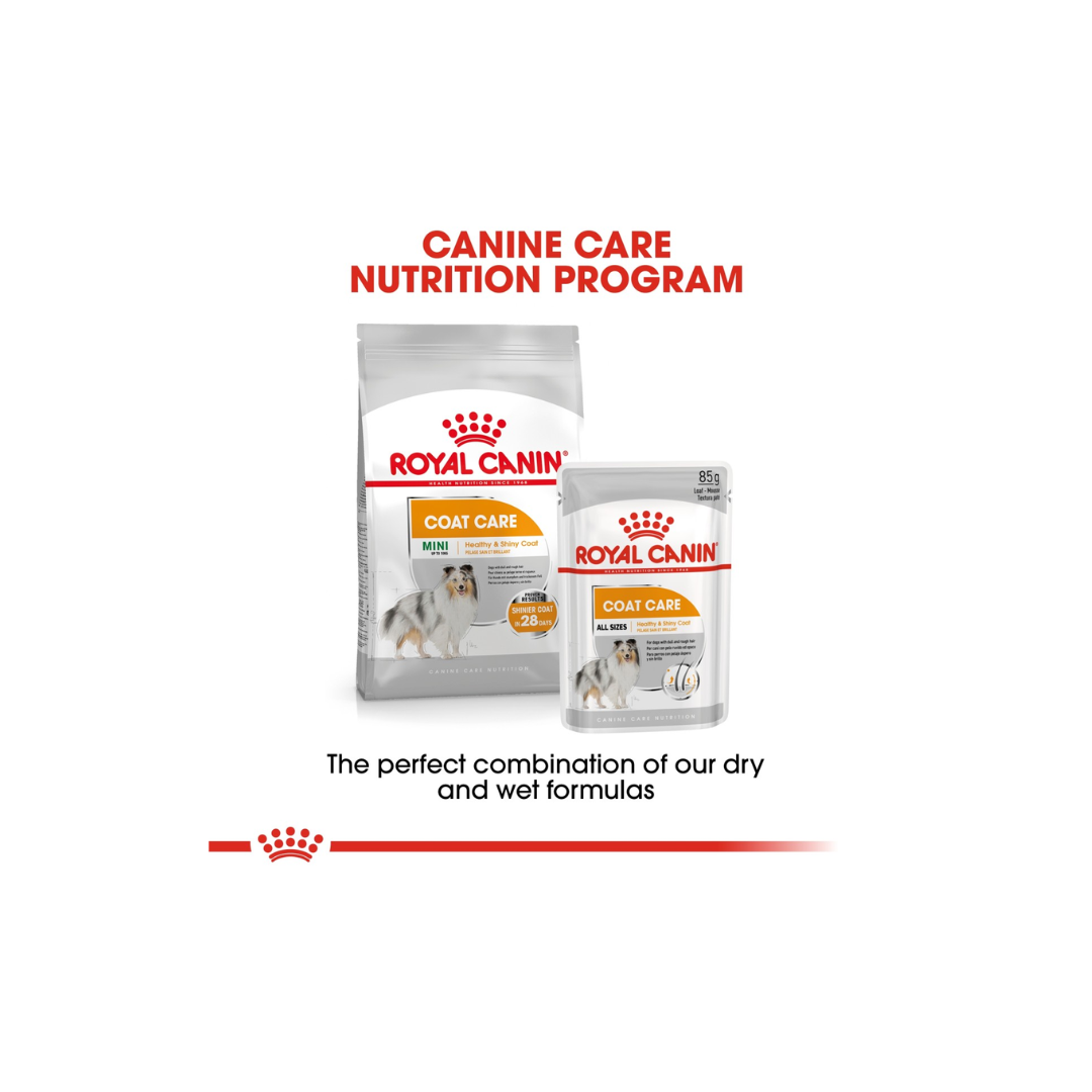 Two Royal Canin dog food packages with text about the Canine Care Nutrition Program on a white background.