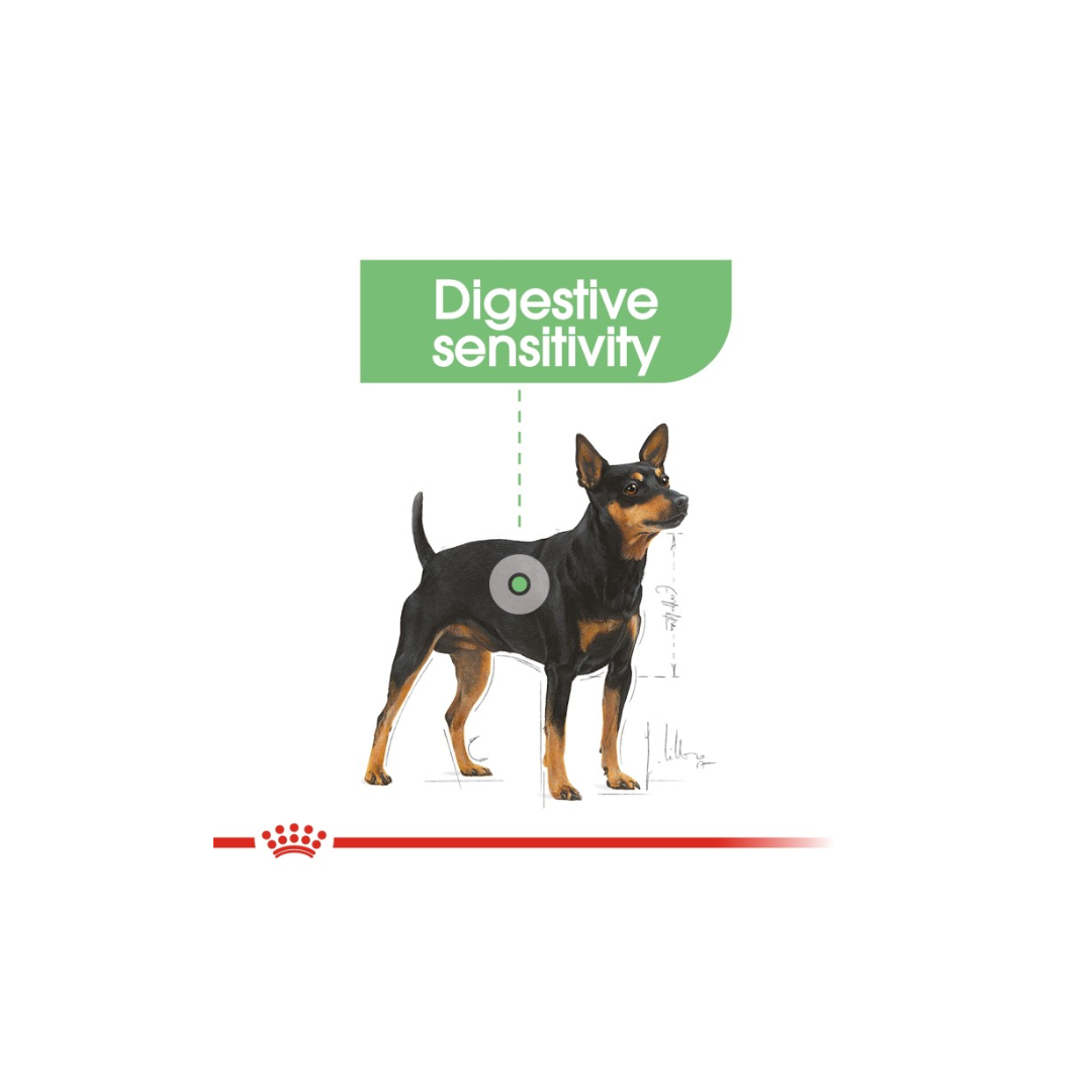 Dog with digestive sensitivity label on a white background